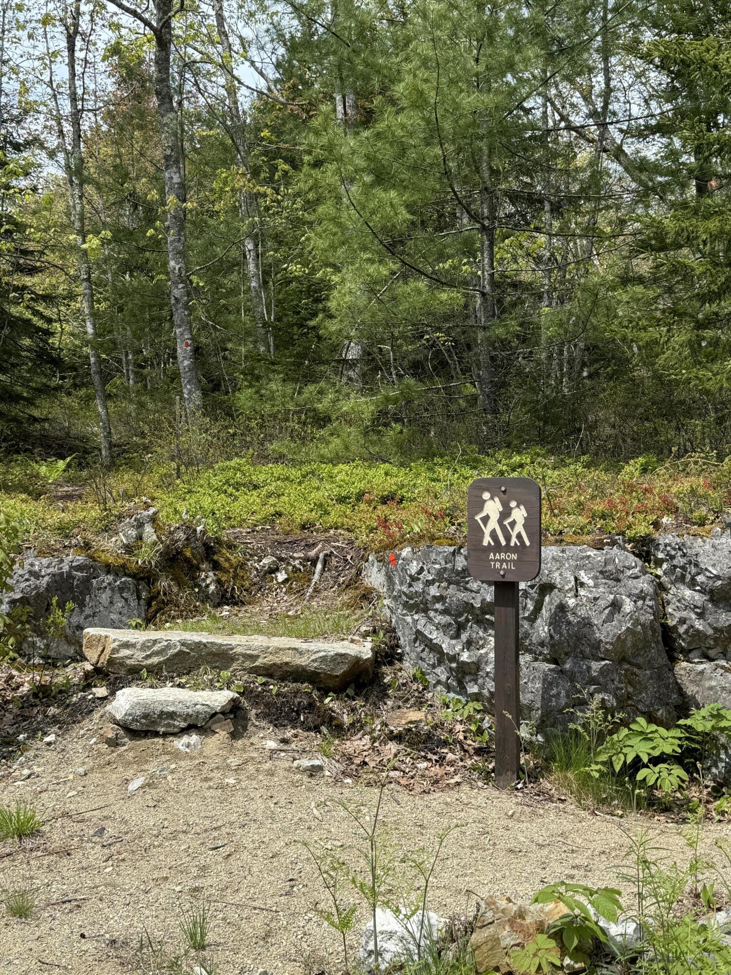 998 Cape Rosier Road Harborside, ME 04642 - Photo 37 of 42 Walking Trails Close By