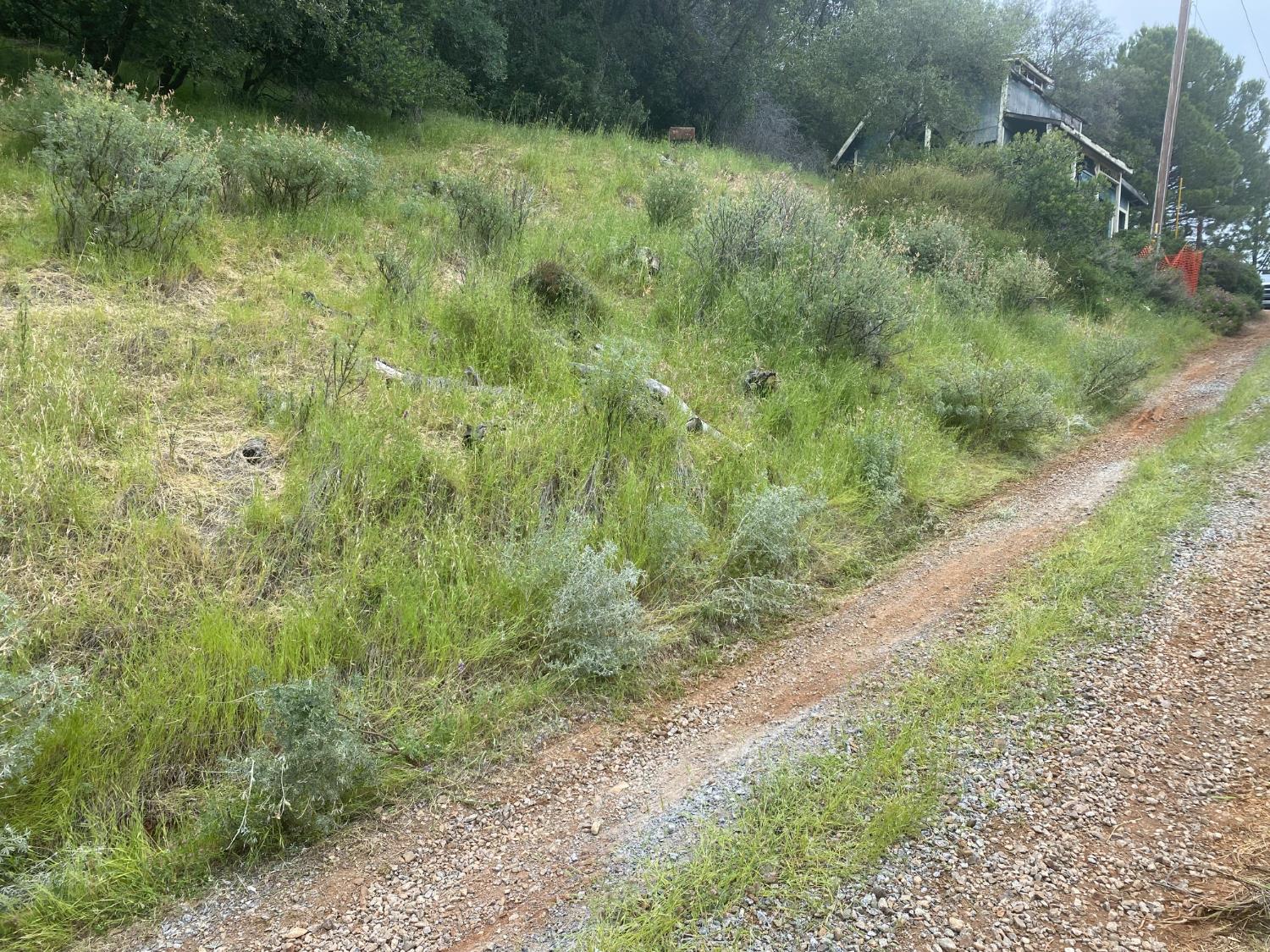 5021 Banbury Cross Road Shingle Springs, CA 95682 - Photo 91 of 92 Gravel Driveway towards main house.