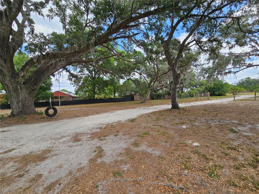 1641 Thompson Road Lithia, FL 33547 - Photo 64 of 64 Gallery Image 64