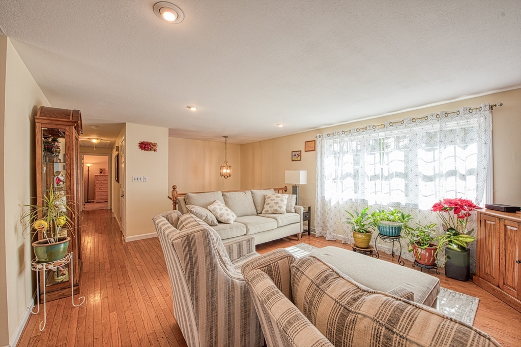 10 Colby Road Bridgewater, MA 02324 - Photo 23 of 42 a living room with furniture and a potted plant