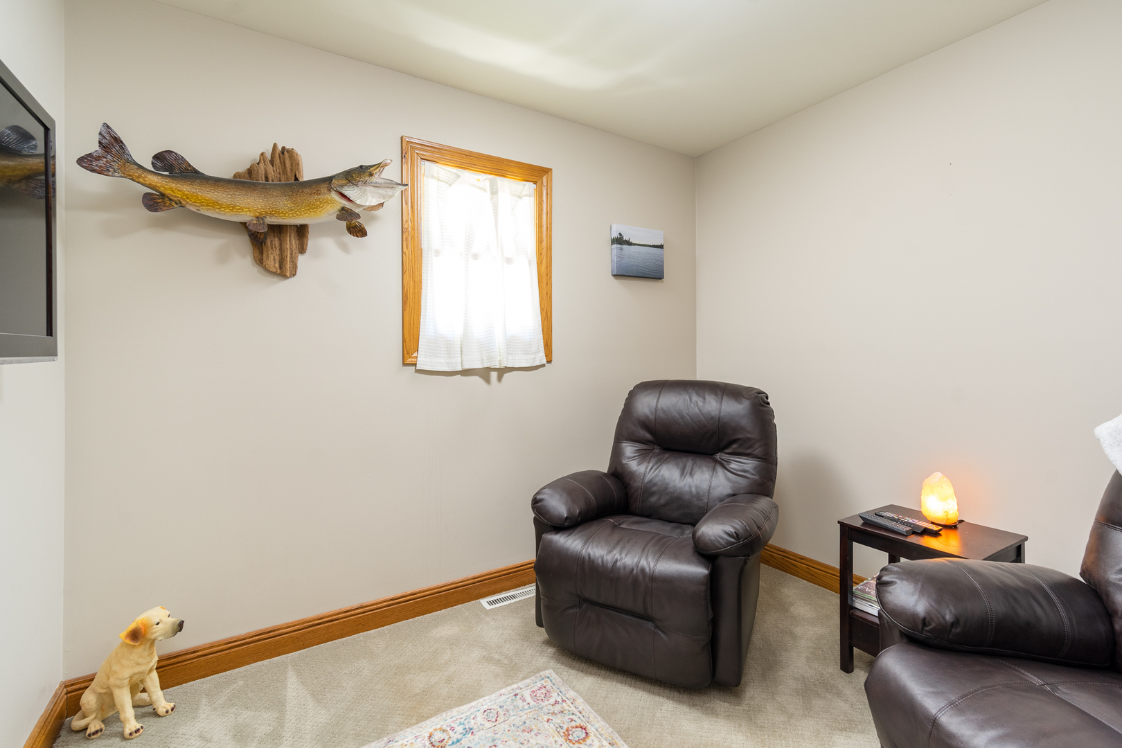 100 Willow Trail Spring Valley, IL 61362 - Photo 20 of 57 a living room with furniture and a window
