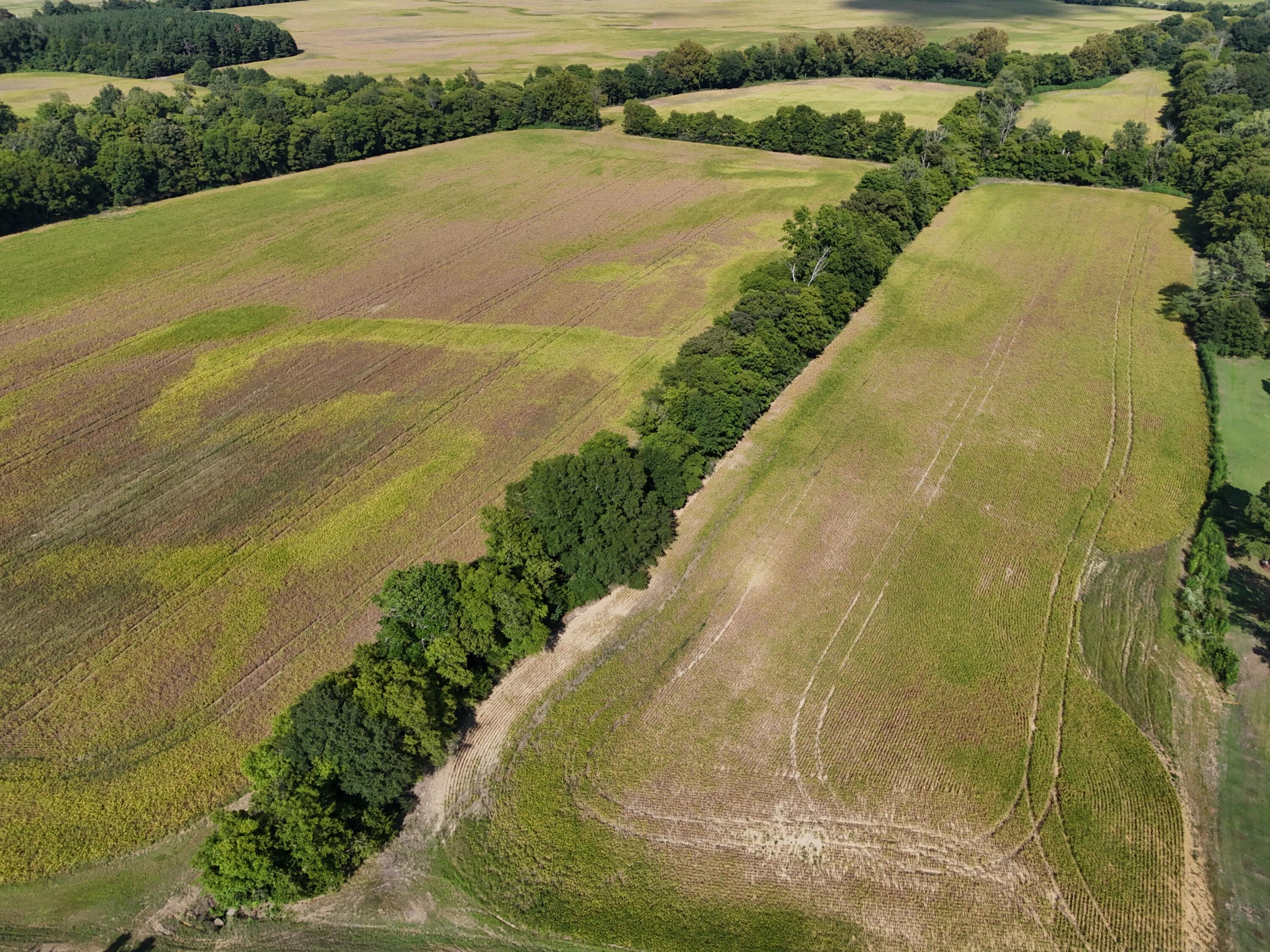 261 Co Road Tupelo, MS 38801 - Photo 19 of 26 Gallery Image 19