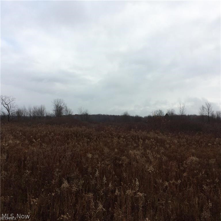 South Lake Road Andover, OH 44003 - Photo 1 of 1 Gallery Image 1