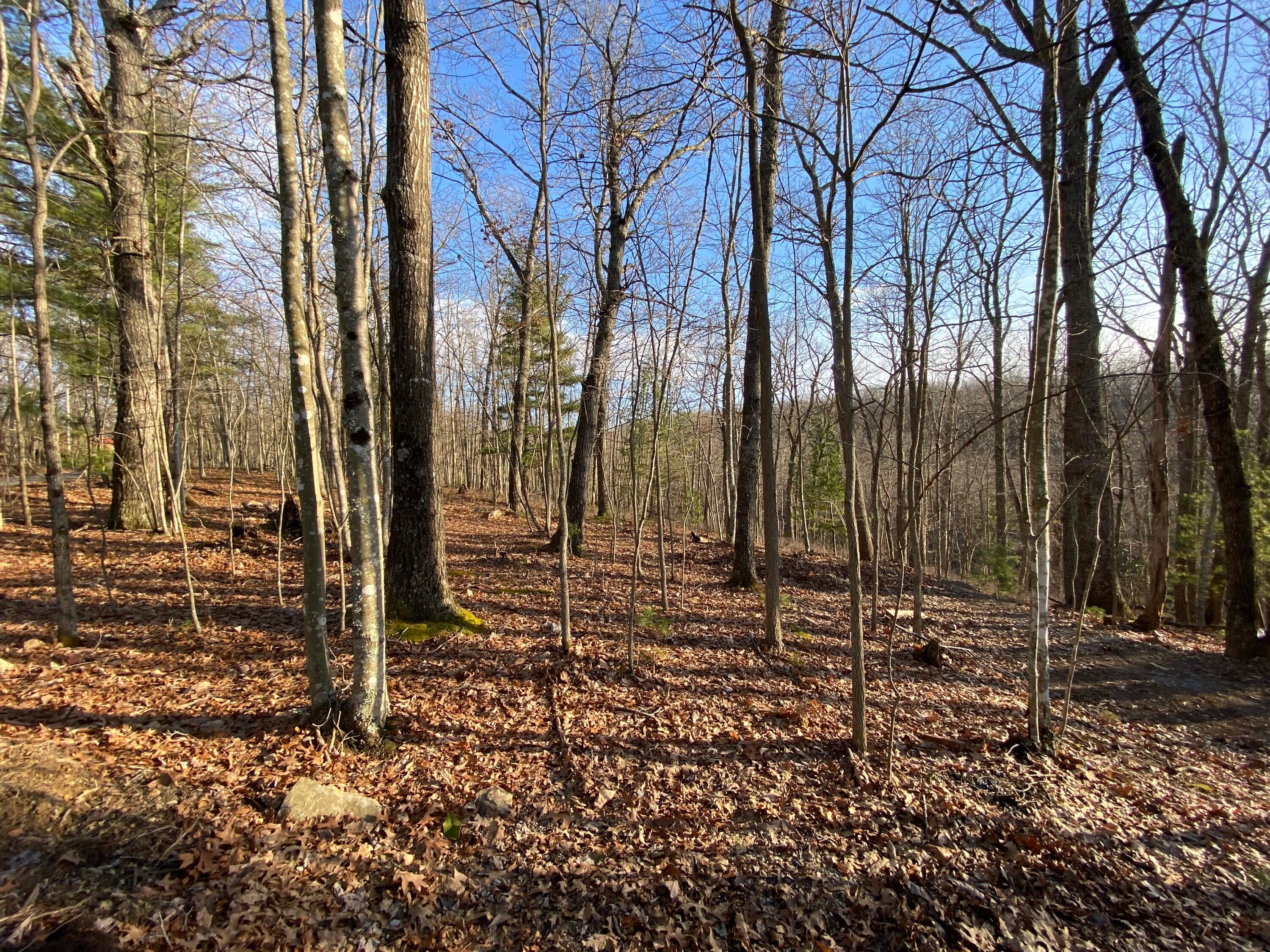 7373 Raders Valley Road Williamsburg, WV 24991 - Photo 65 of 68 Gallery Image 65