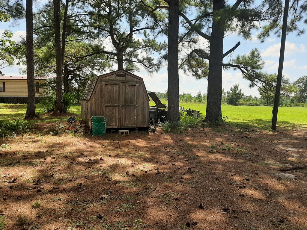 2037 Bucket Branch Road Andalusia, AL 36421 - Photo 3 of 6 Shed