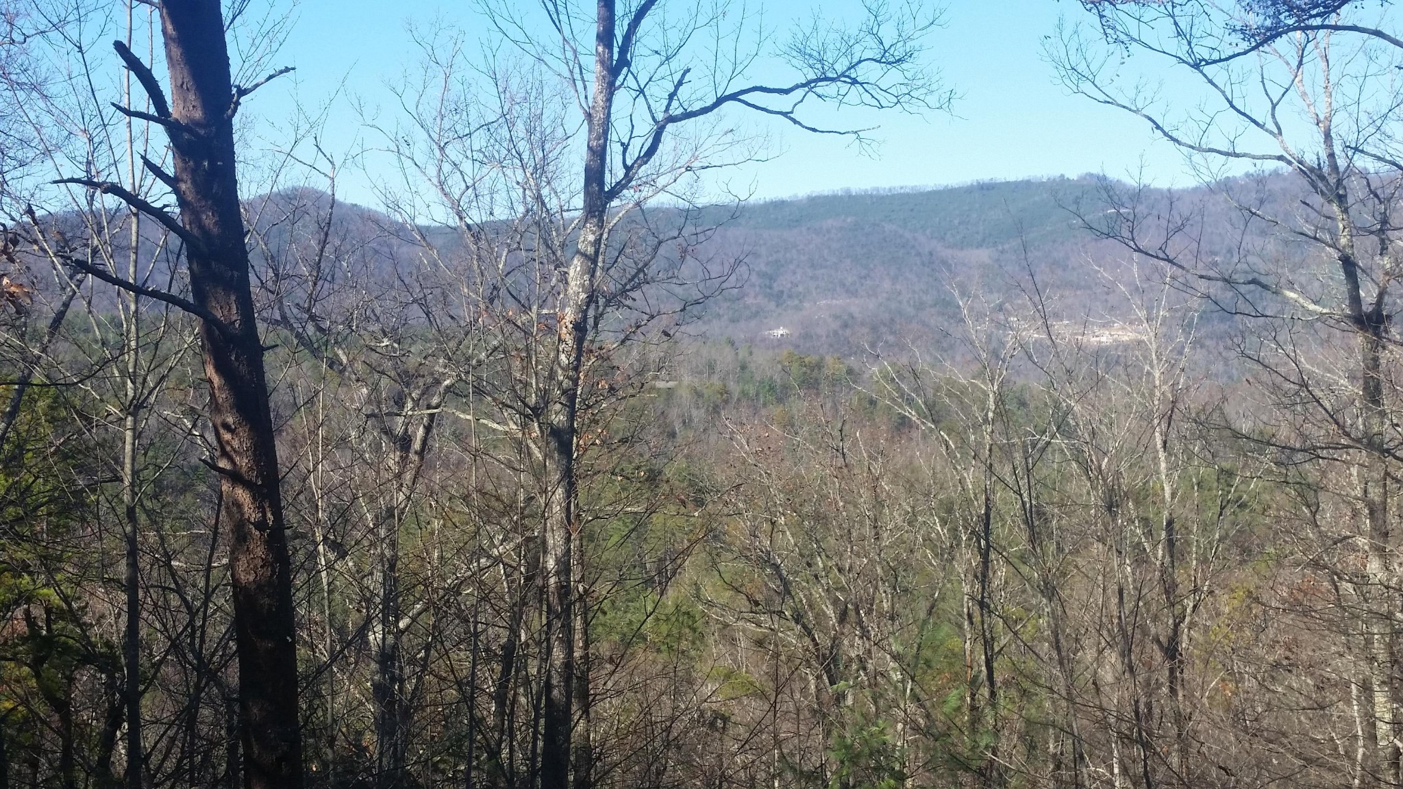 0 Bear Paw Road Walland, TN 37886 - Photo 11 of 11 Gallery Image 11