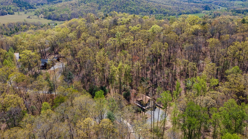 455 Shepherds Walk Morganton, GA 30560 - Photo 39 of 46 Gallery Image 39
