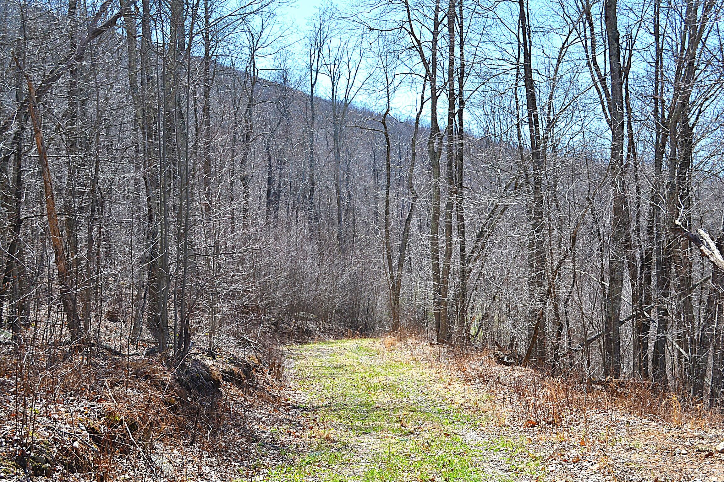 2245 Crowder Road Gap Mills, WV 24941 - Photo 2 of 41 1 Of 3-4 Trails On The Prpoperty