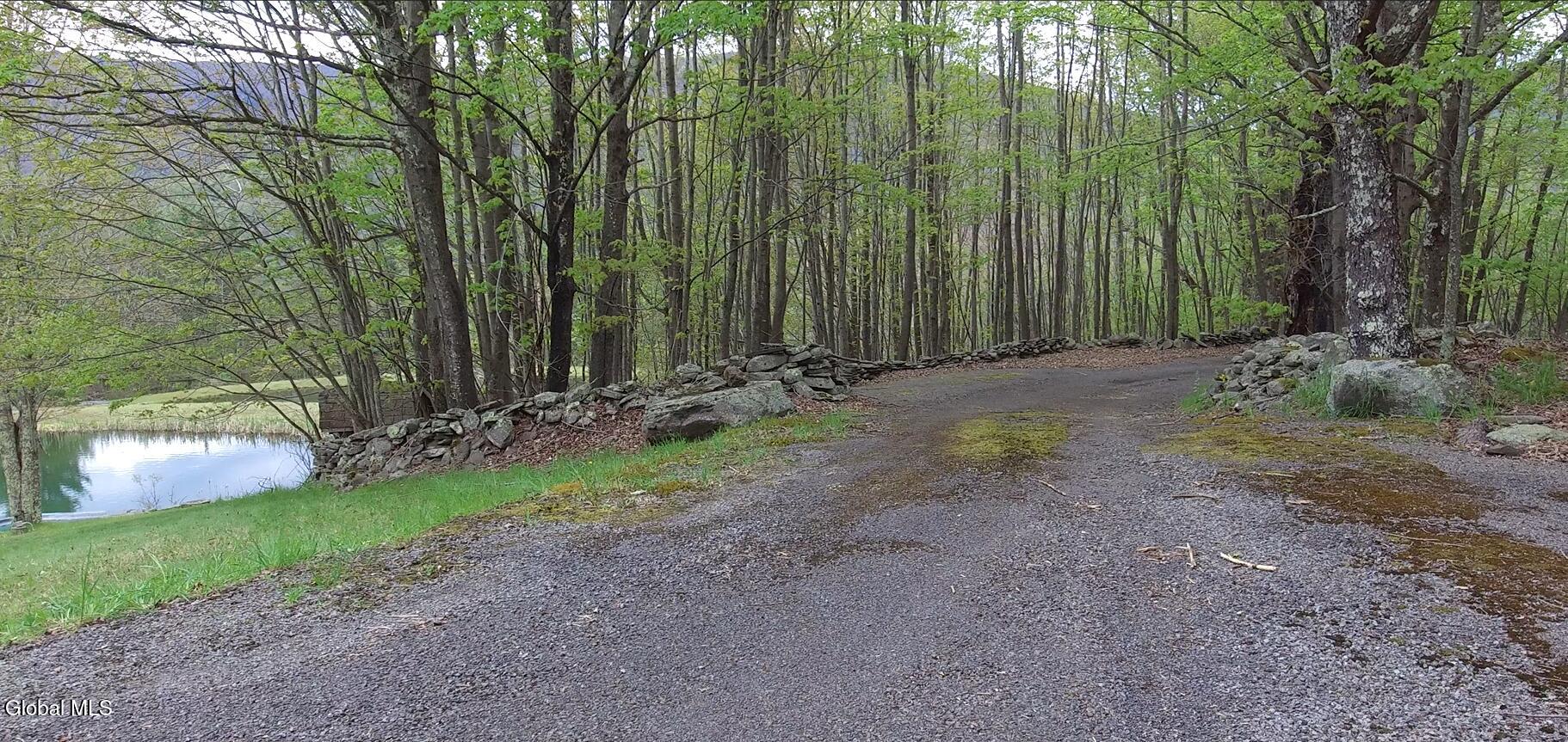 184 Cloos Road Hunter, NY 12442 - Photo 33 of 77 Screenshot (1044)