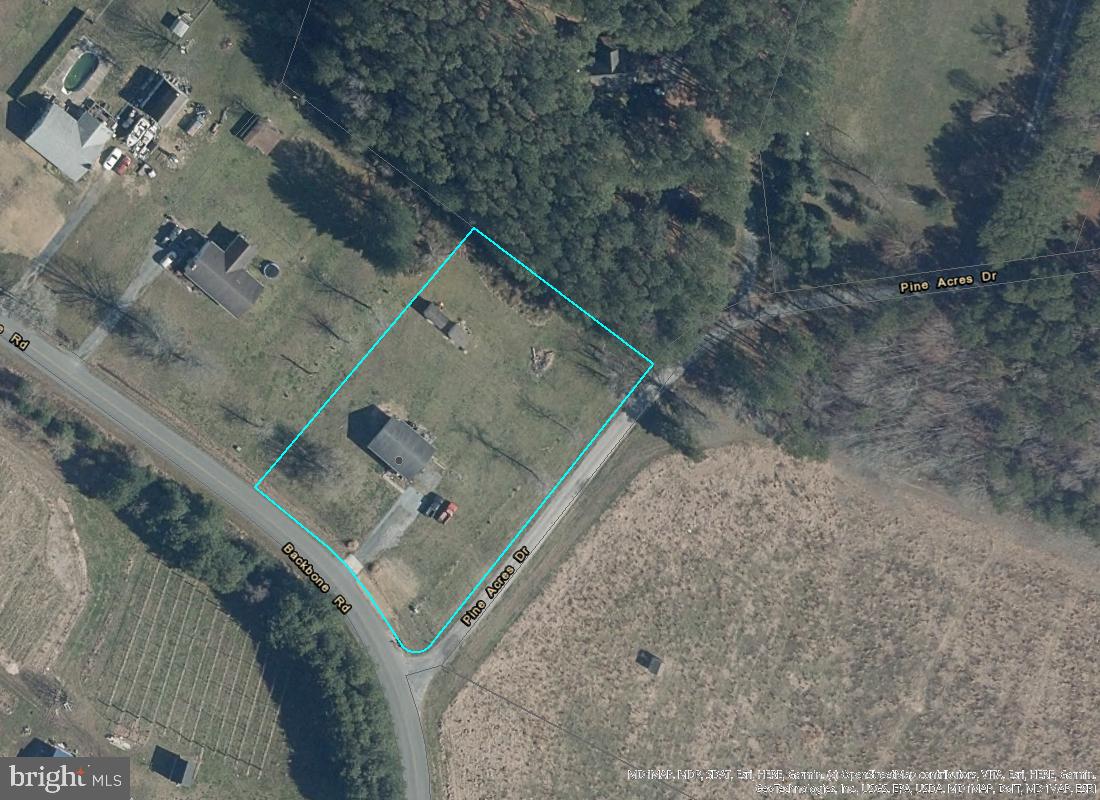 13147 Backbone Road Princess Anne, MD 21853 - Photo 4 of 28