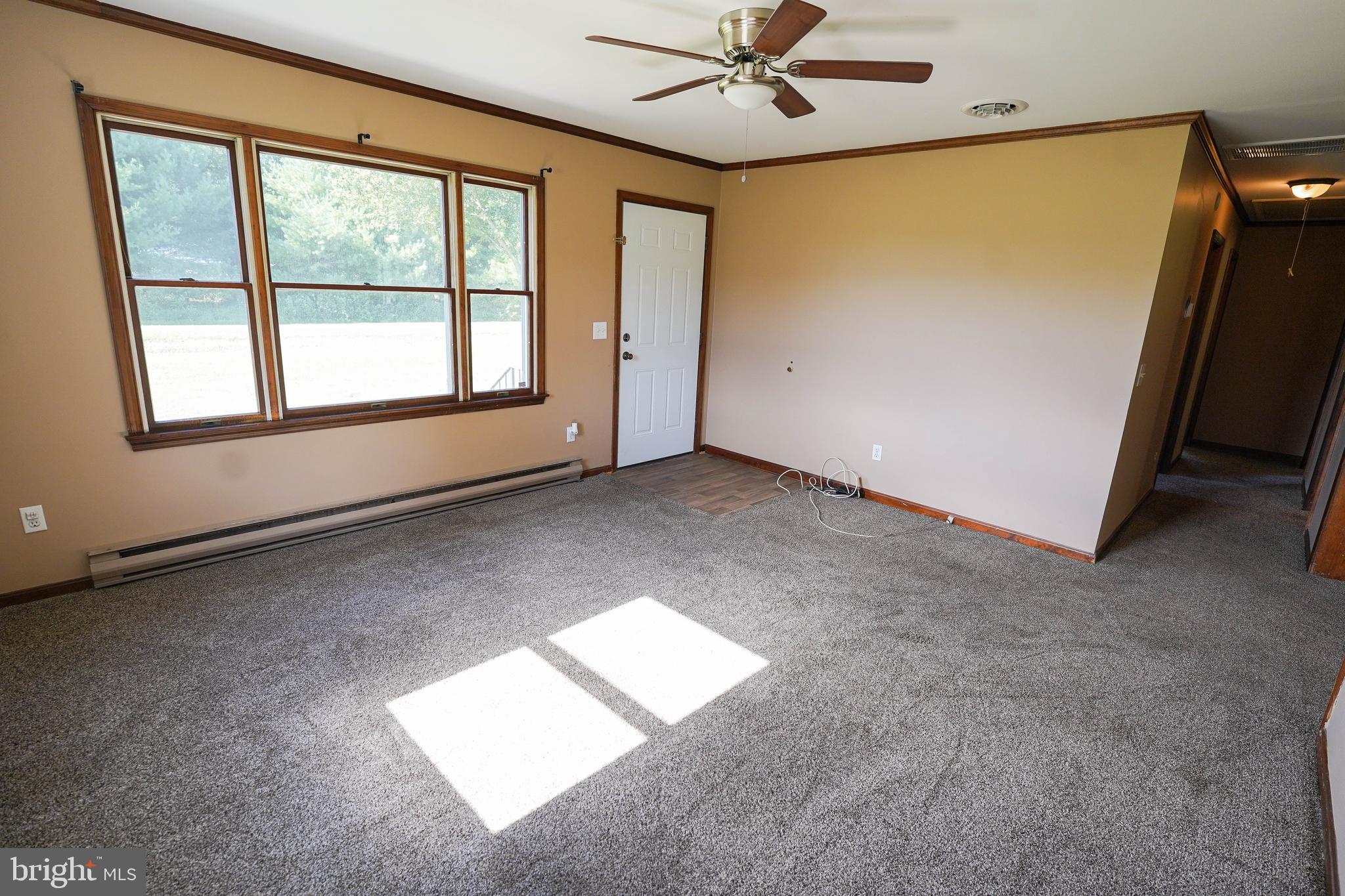 13147 Backbone Road Princess Anne, MD 21853 - Photo 5 of 28