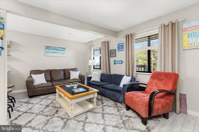 a living room with furniture a rug and a window