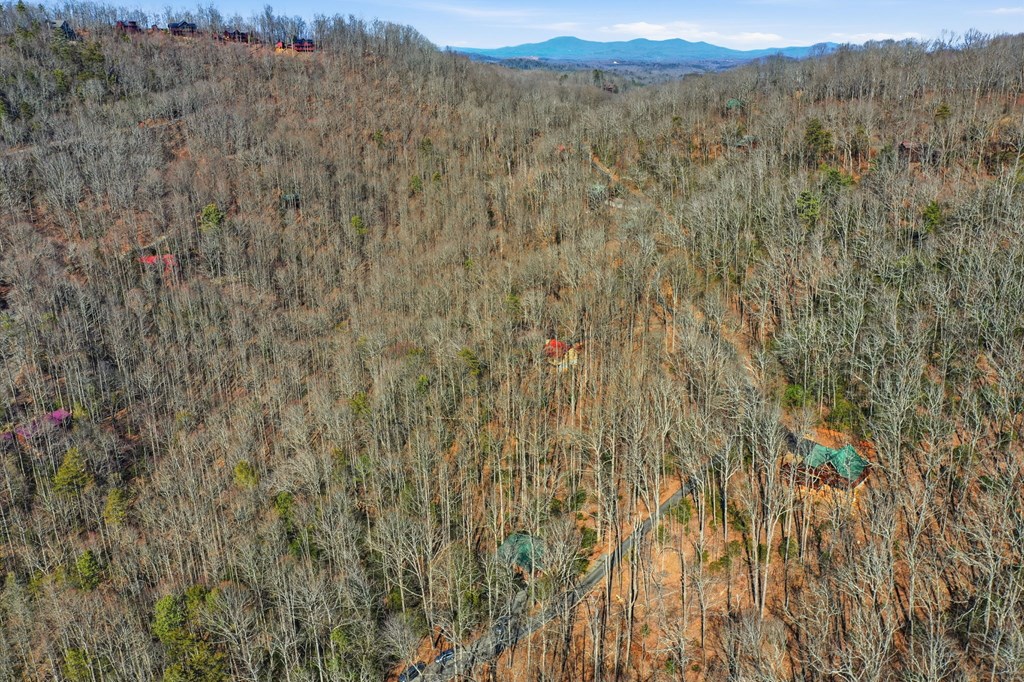 266 Chimney Rock Road Blue Ridge, GA 30513 - Photo 36 of 38