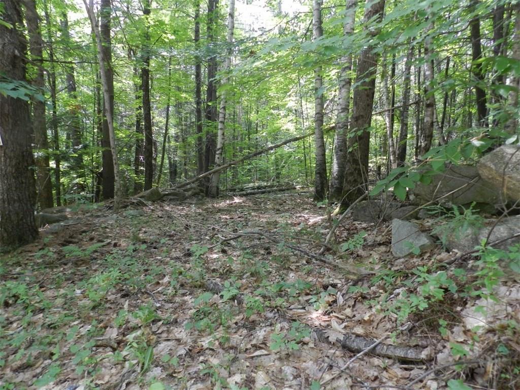 Lot 73 Loop Road Otisfield, ME 04270 - Photo 4 of 11 Photo