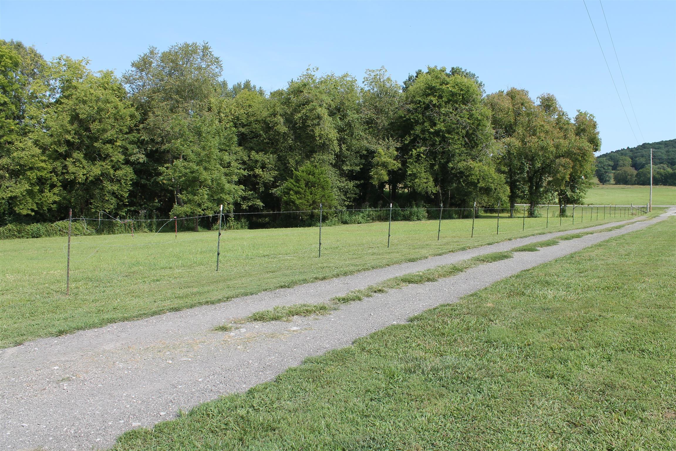 650 Chipman Road Bethpage, TN 37022 - Photo 2 of 14 Front fenced pasture and gated drive.