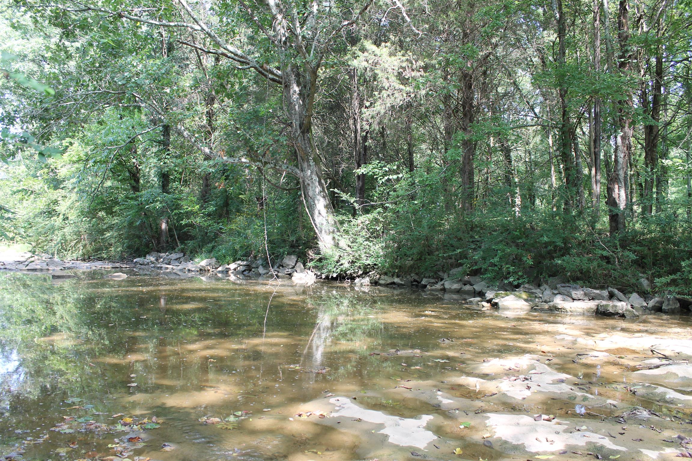 650 Chipman Road Bethpage, TN 37022 - Photo 3 of 14 Creek at rear of property.