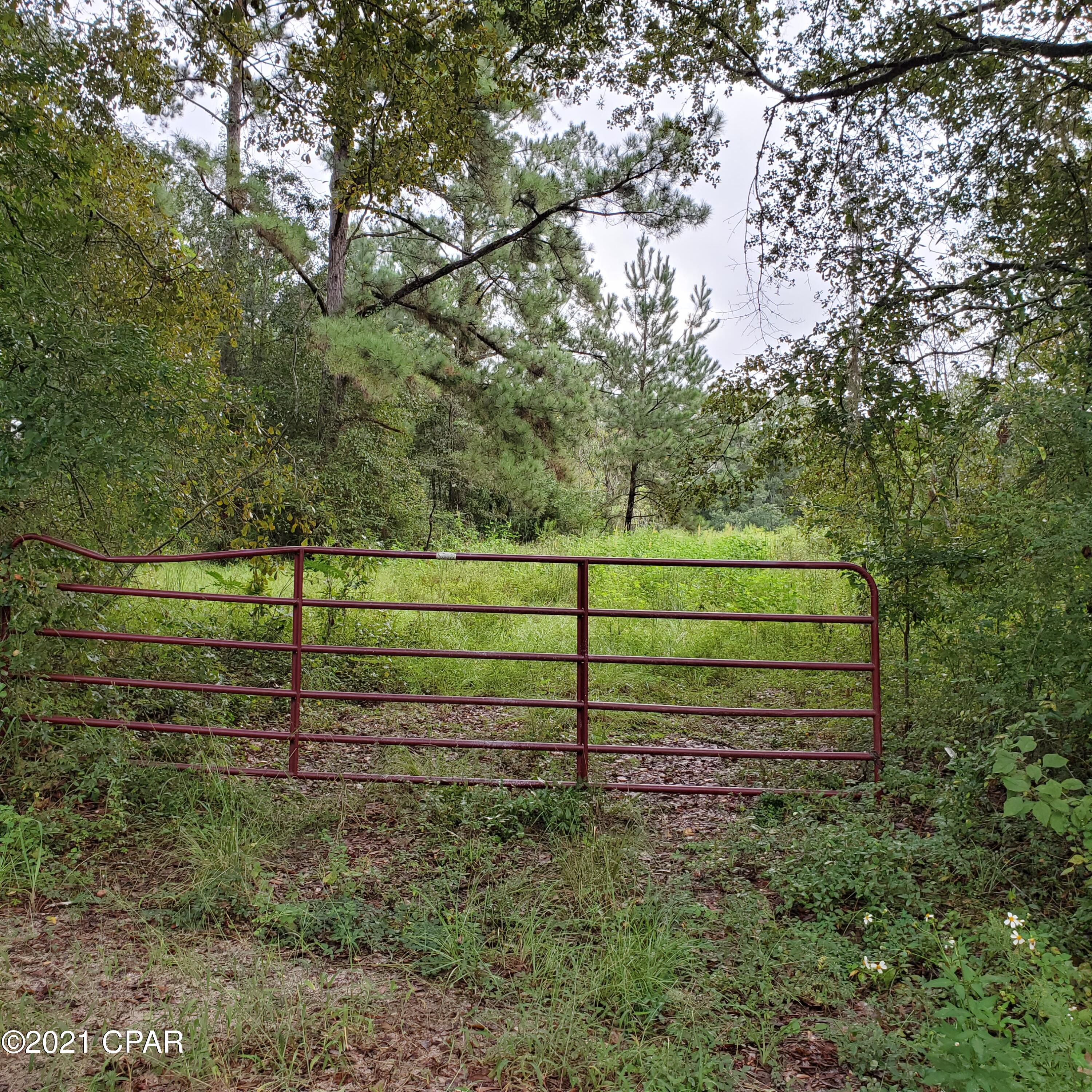 4634 Woodrest Road Cottondale, FL 32431 - Photo 11 of 13