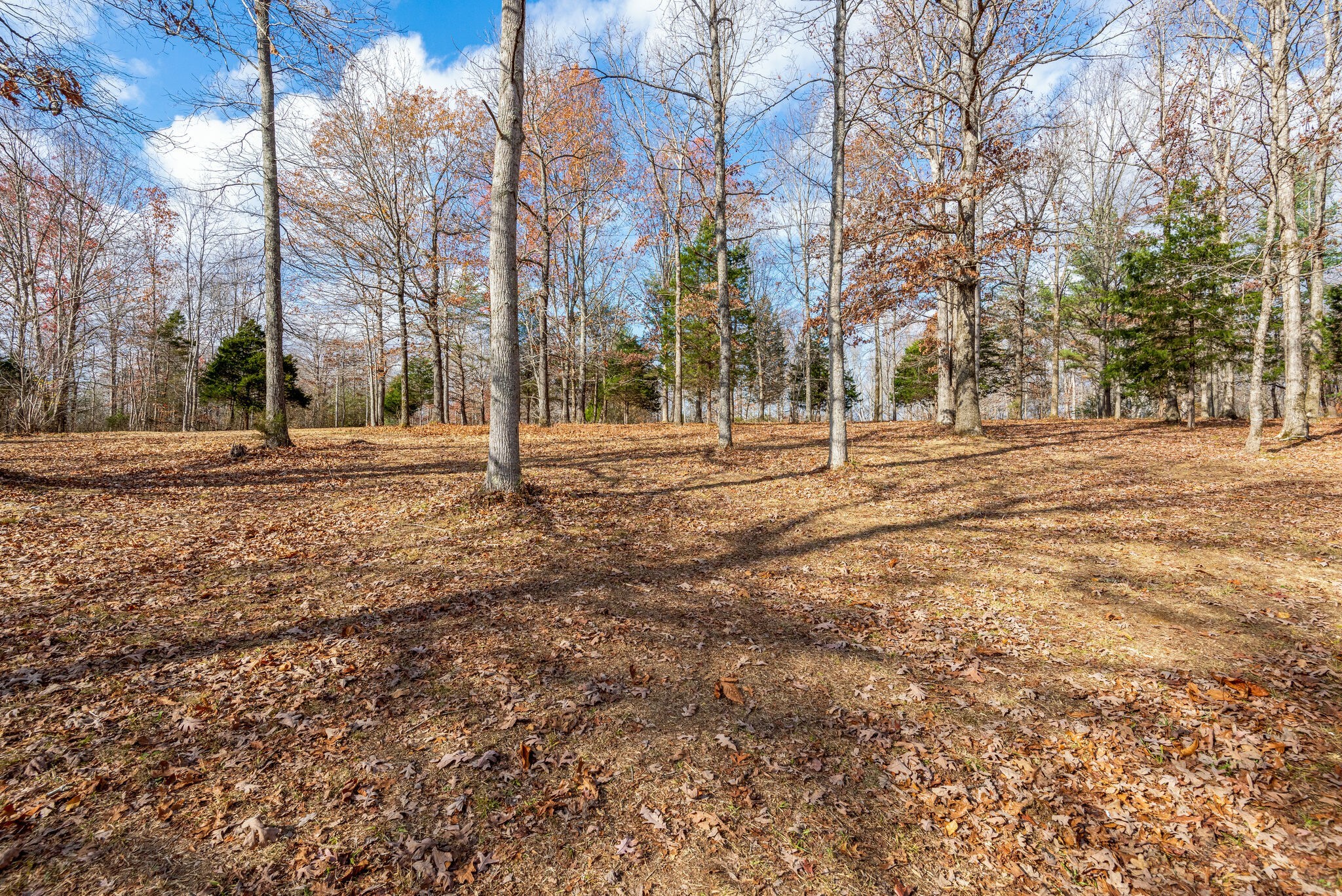 1012 Peery Road Kingston Springs, TN 37082 - Photo 6 of 34 a backyard of apartments with large trees