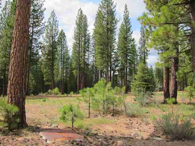 762 Redtail Loop Road Clio, CA 96106 - Photo 2 of 18