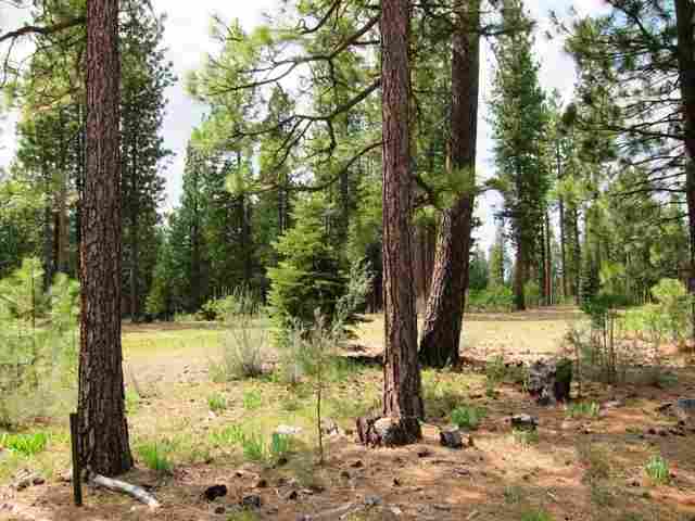 762 Redtail Loop Road Clio, CA 96106 - Photo 3 of 18