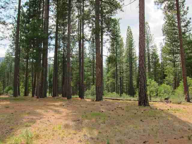 762 Redtail Loop Road Clio, CA 96106 - Photo 4 of 18