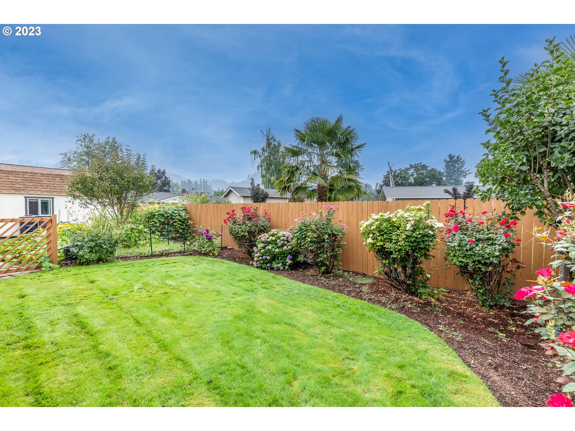 316 70th Street Springfield, OR 97478 - Photo 20 of 25 a view of a garden with a building in the background