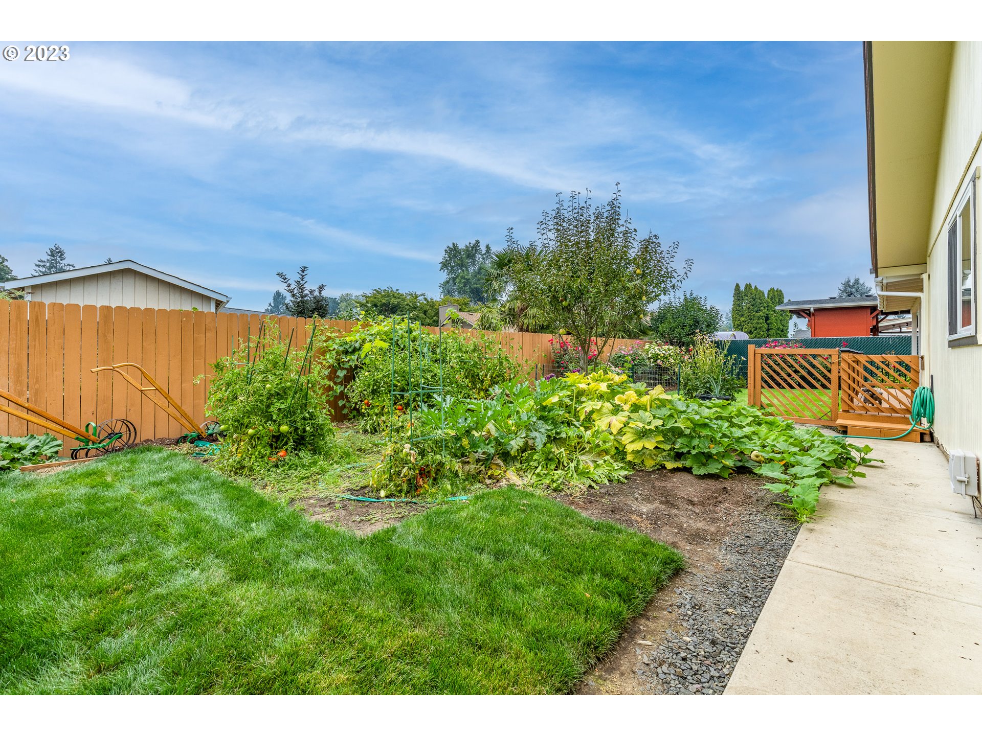 316 70th Street Springfield, OR 97478 - Photo 22 of 25 a view of a yard with an outdoor space