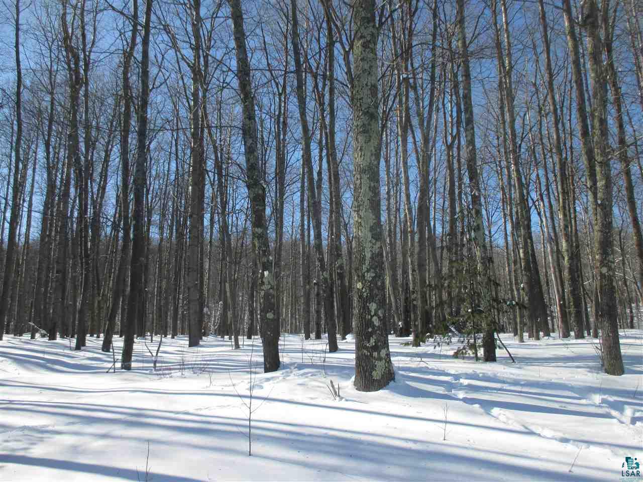 Xxxxxx Oak Ridge Heights Road Bayfield, WI 54814 - Photo 11 of 39 Gallery Image 11