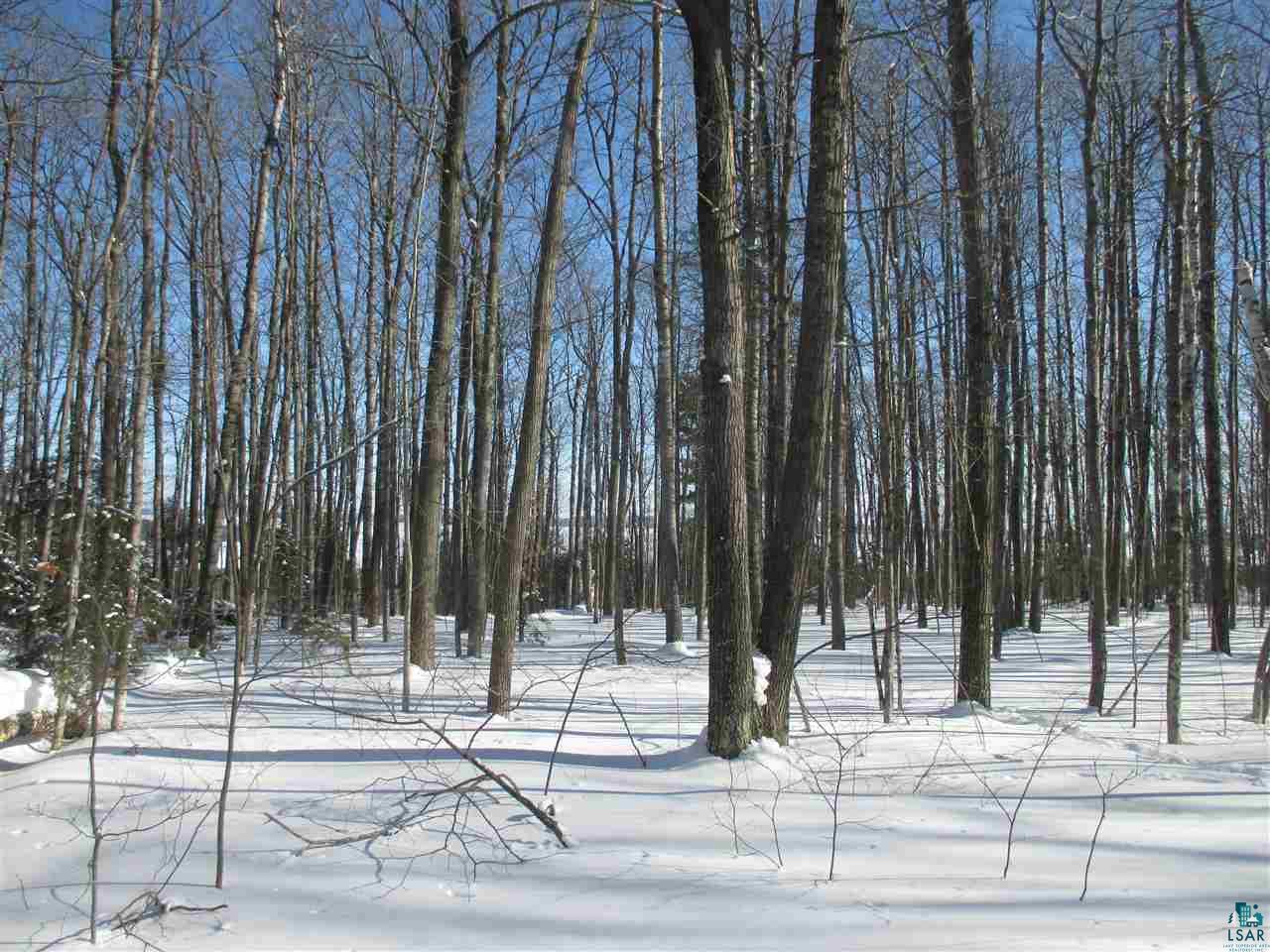 Xxxxxx Oak Ridge Heights Road Bayfield, WI 54814 - Photo 16 of 39 Gallery Image 16