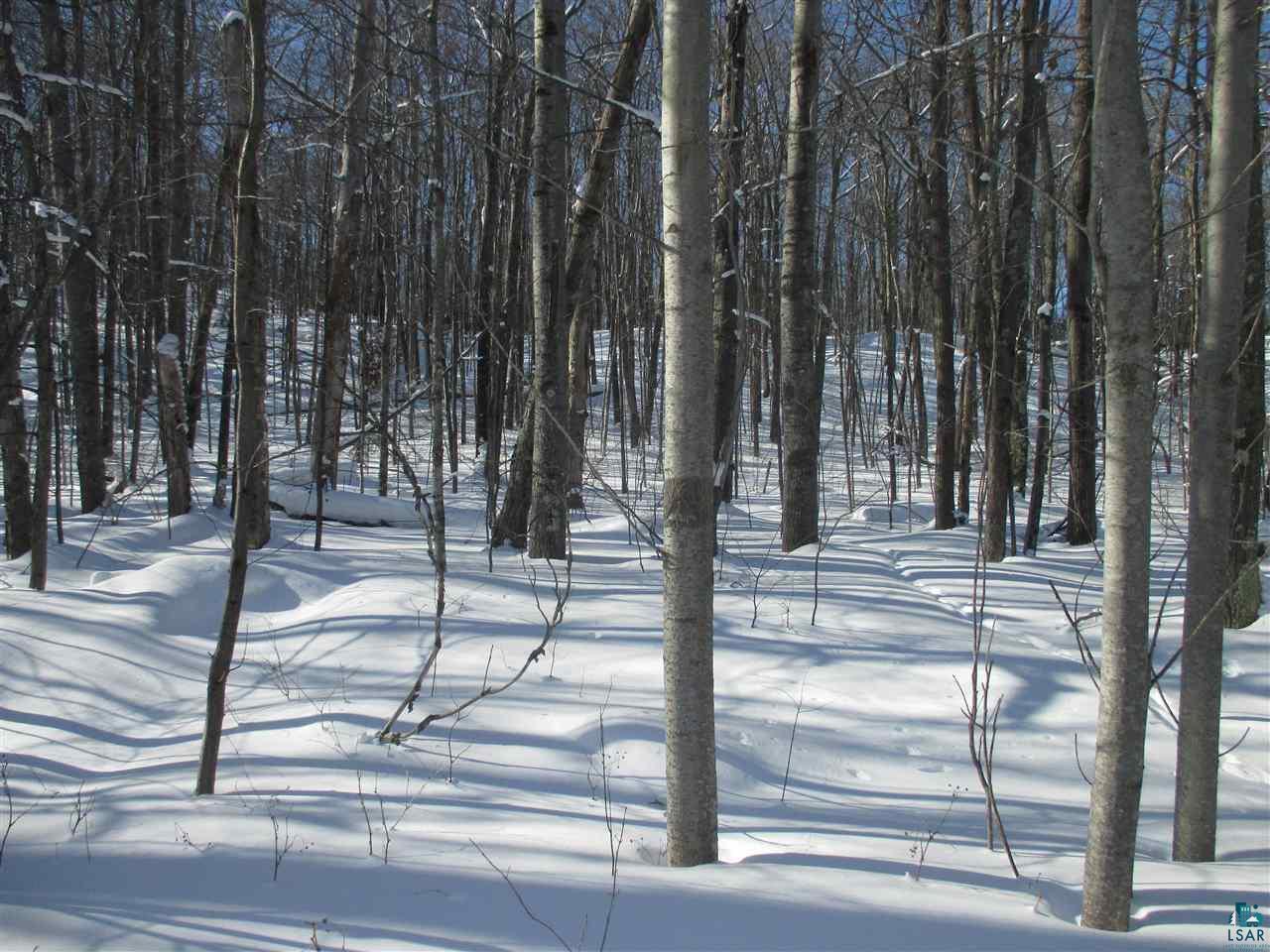 Xxxxxx Oak Ridge Heights Road Bayfield, WI 54814 - Photo 18 of 39 Gallery Image 18