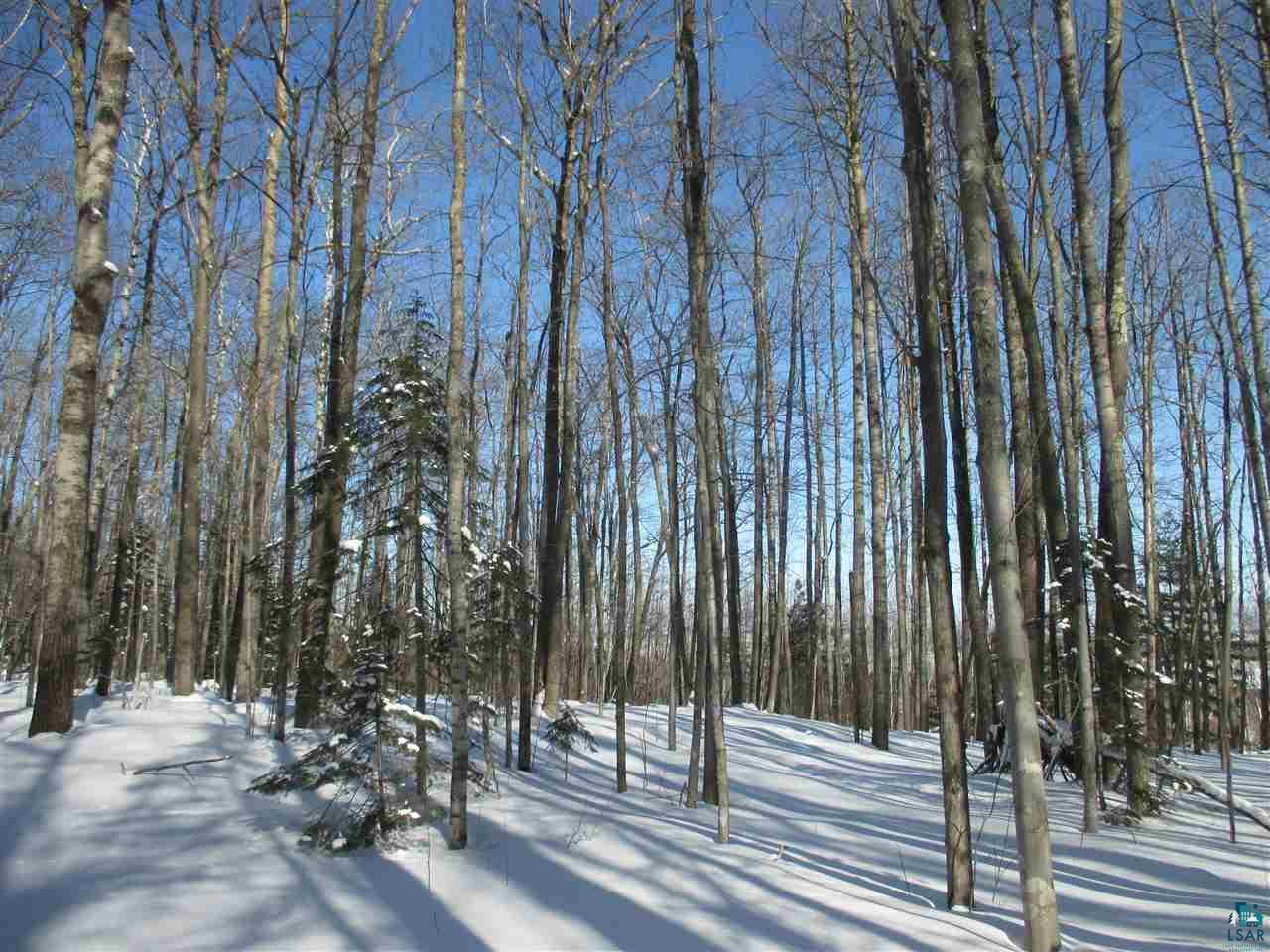 Xxxxxx Oak Ridge Heights Road Bayfield, WI 54814 - Photo 3 of 39 Gallery Image 3