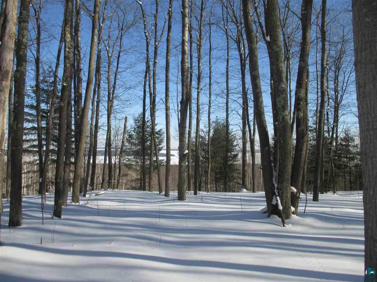 Xxxxxx Oak Ridge Heights Road Bayfield, WI 54814 - Photo 5 of 39 Gallery Image 5