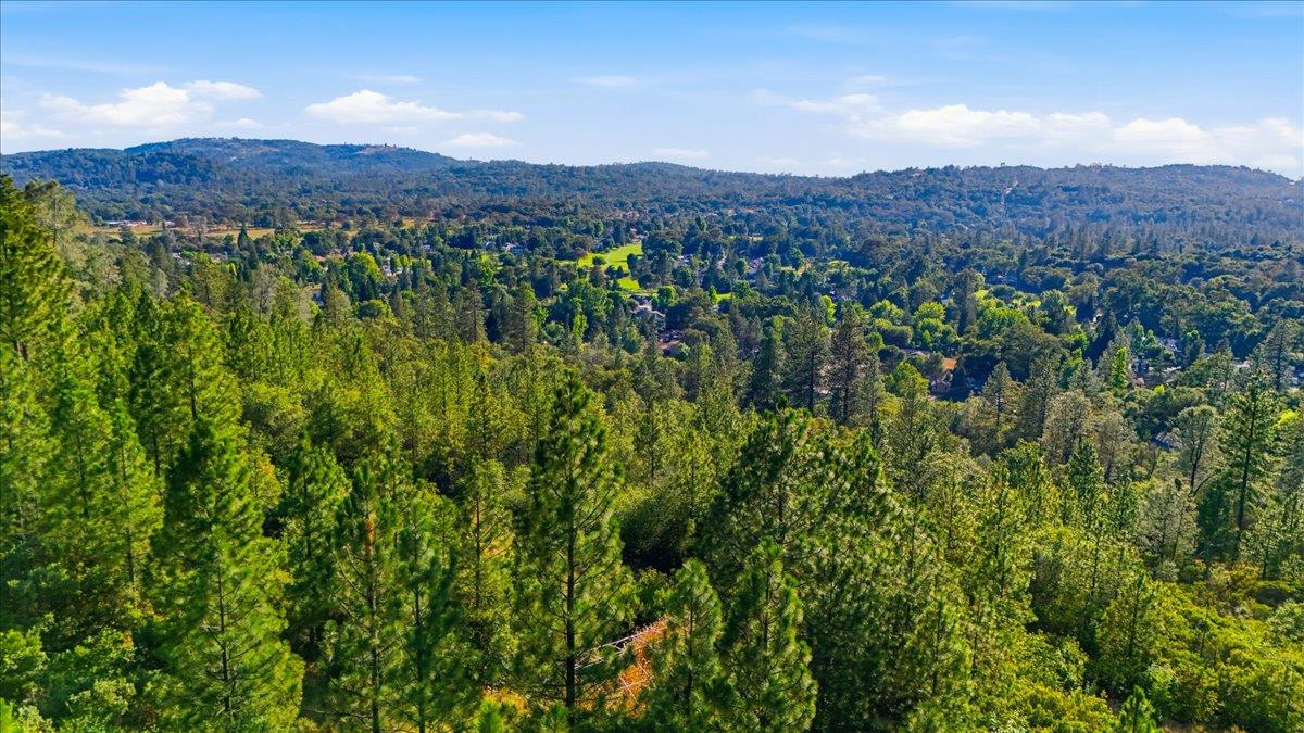17436 Black Forest Road Penn Valley, CA 95946 - Photo 23 of 36
