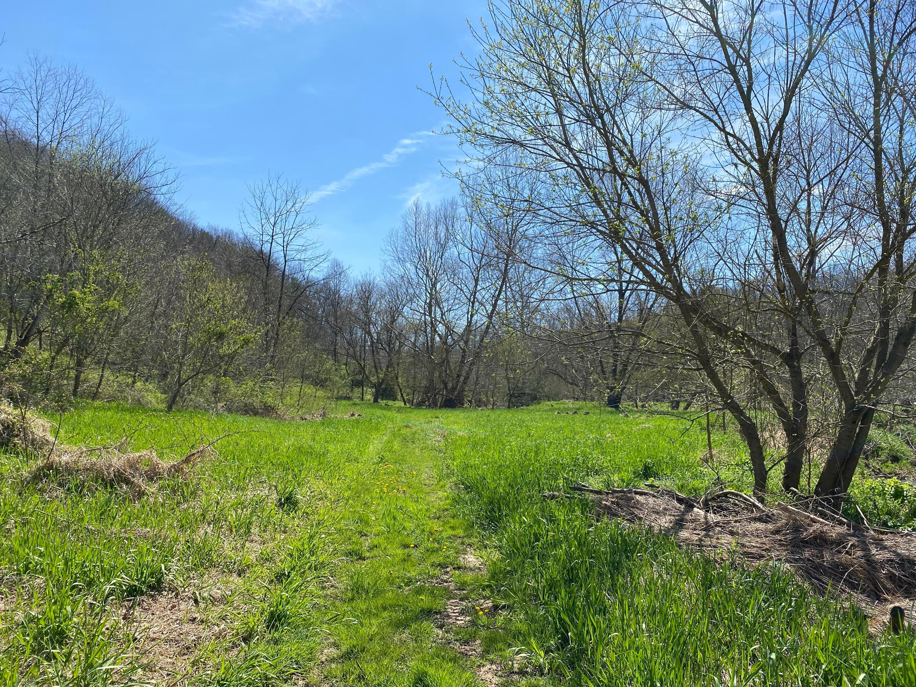 0 West Side Tr Reedsville, OH 45772 - Photo 13 of 19 Back of property. (Bottom of hill)
