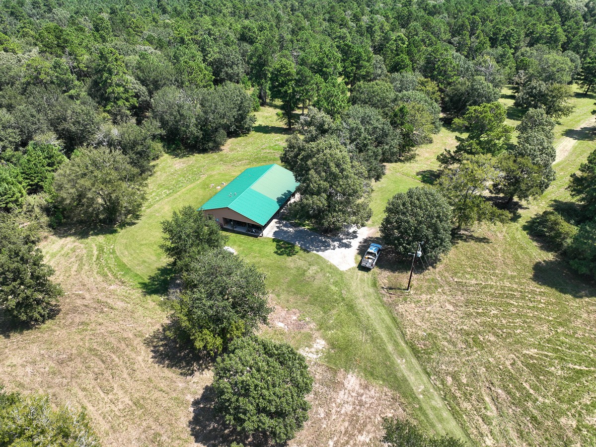 37 Archie Road Huntsville, TX 77320 - Photo 1 of 40 a view of a yard with plants and large trees