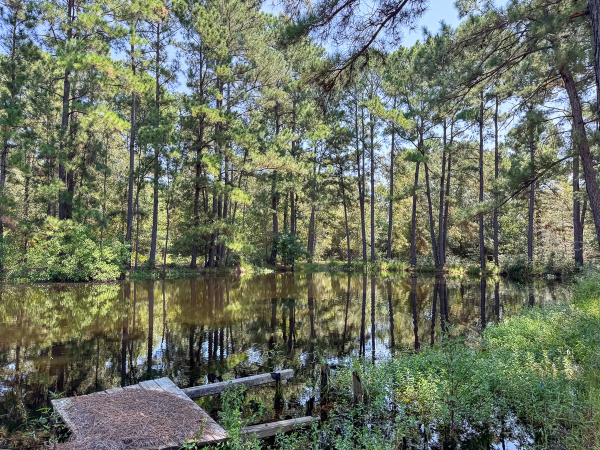 37 Archie Road Huntsville, TX 77320 - Photo 2 of 40 a view of a city with lots of bushes