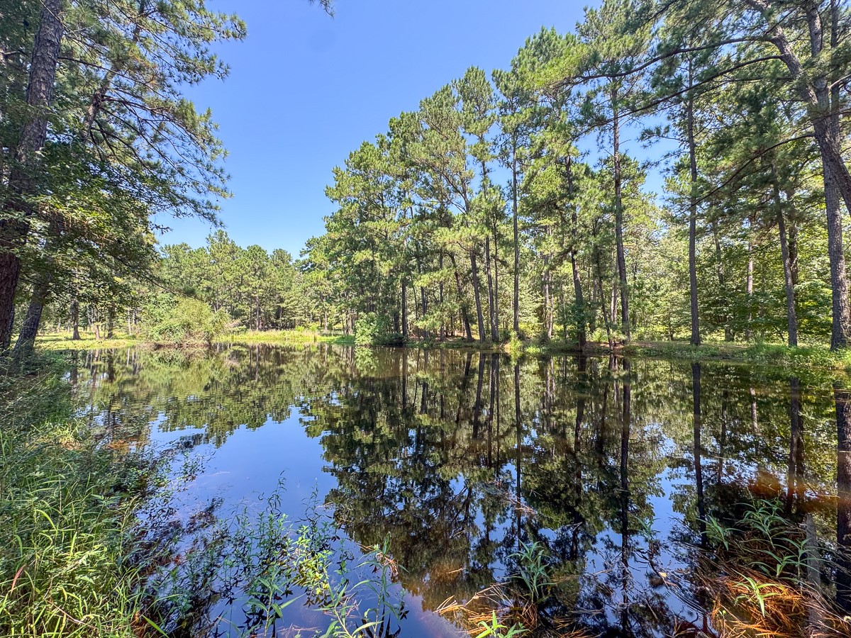 37 Archie Road Huntsville, TX 77320 - Photo 25 of 40 a aerial view of a houses with yard