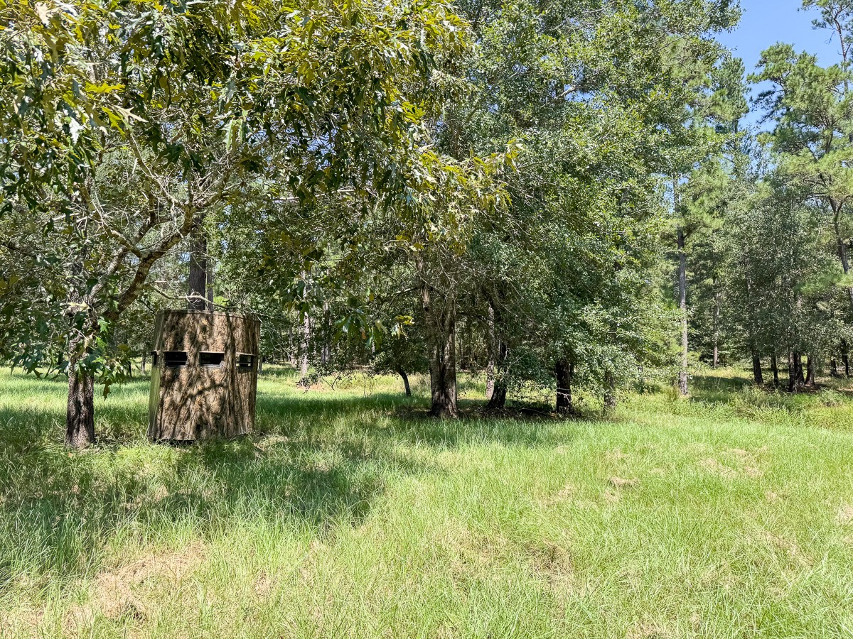 37 Archie Road Huntsville, TX 77320 - Photo 27 of 40 a fire hydrant in the middle of a field