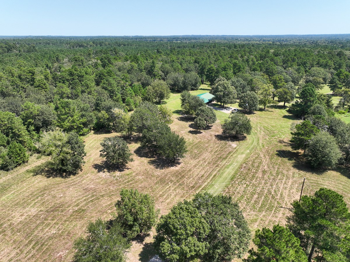 37 Archie Road Huntsville, TX 77320 - Photo 29 of 40 an aerial view of residential houses with outdoor space and trees