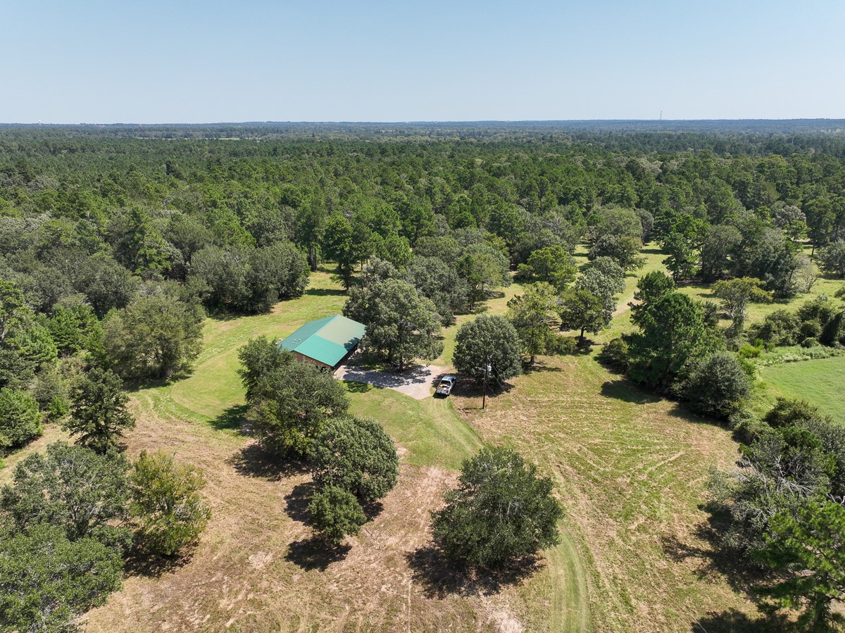 37 Archie Road Huntsville, TX 77320 - Photo 30 of 40 a view of a yard with a mountain