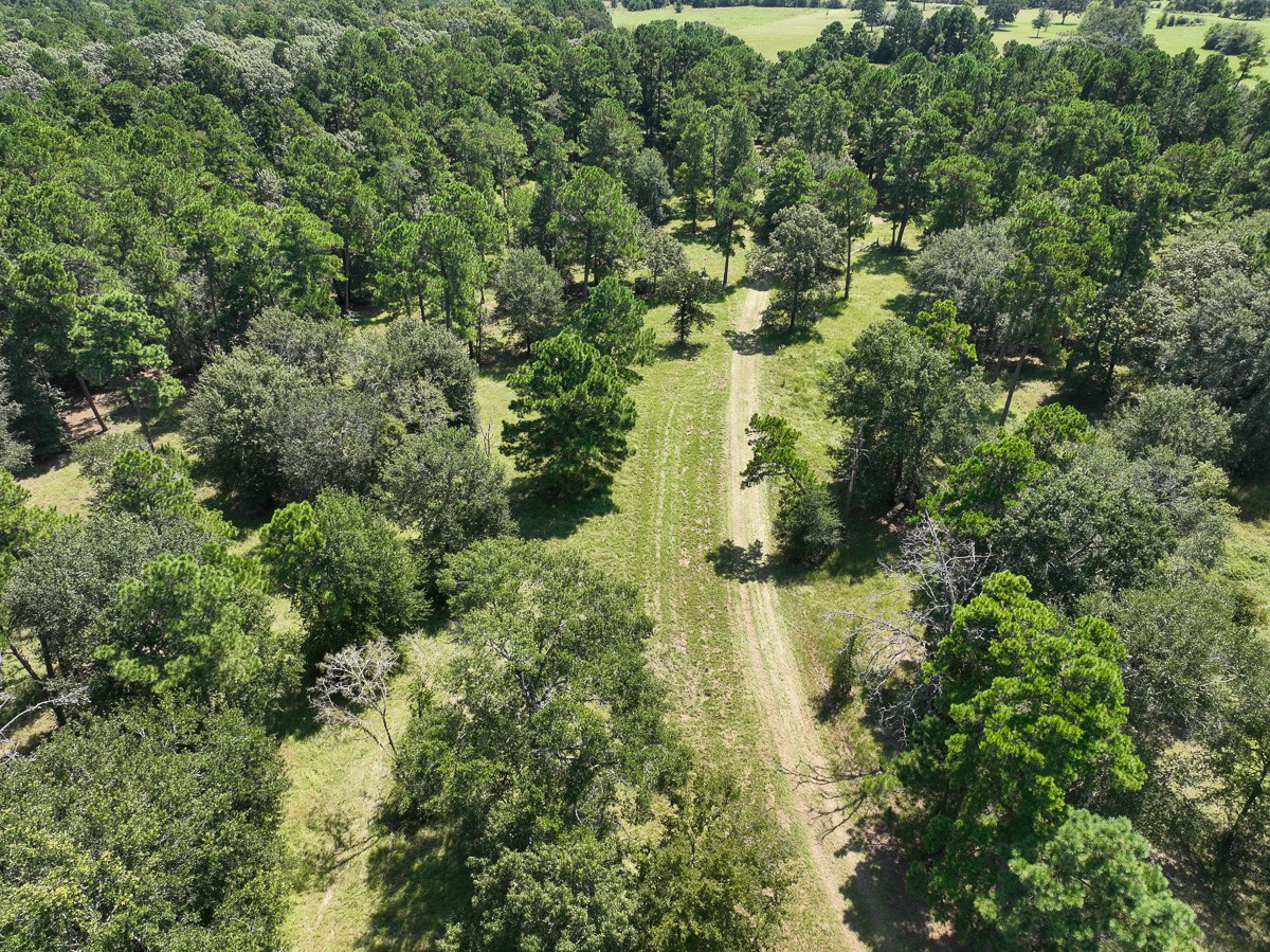 37 Archie Road Huntsville, TX 77320 - Photo 32 of 40 a view of a garden with plants