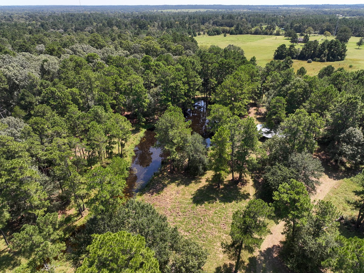 37 Archie Road Huntsville, TX 77320 - Photo 33 of 40 an aerial view of a houses with outdoor space and trees