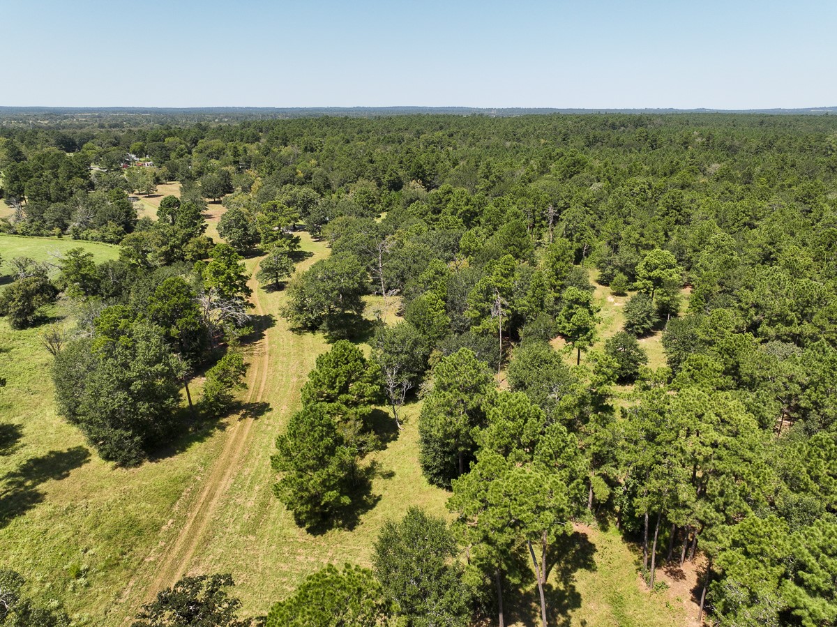 37 Archie Road Huntsville, TX 77320 - Photo 35 of 40 a view of a field with an ocean view