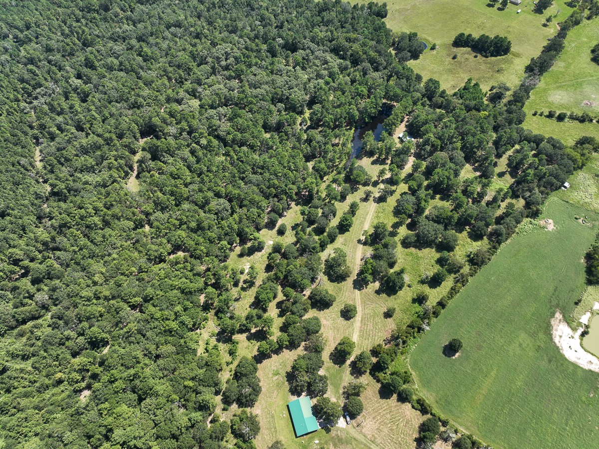 37 Archie Road Huntsville, TX 77320 - Photo 37 of 40 a view of a garden