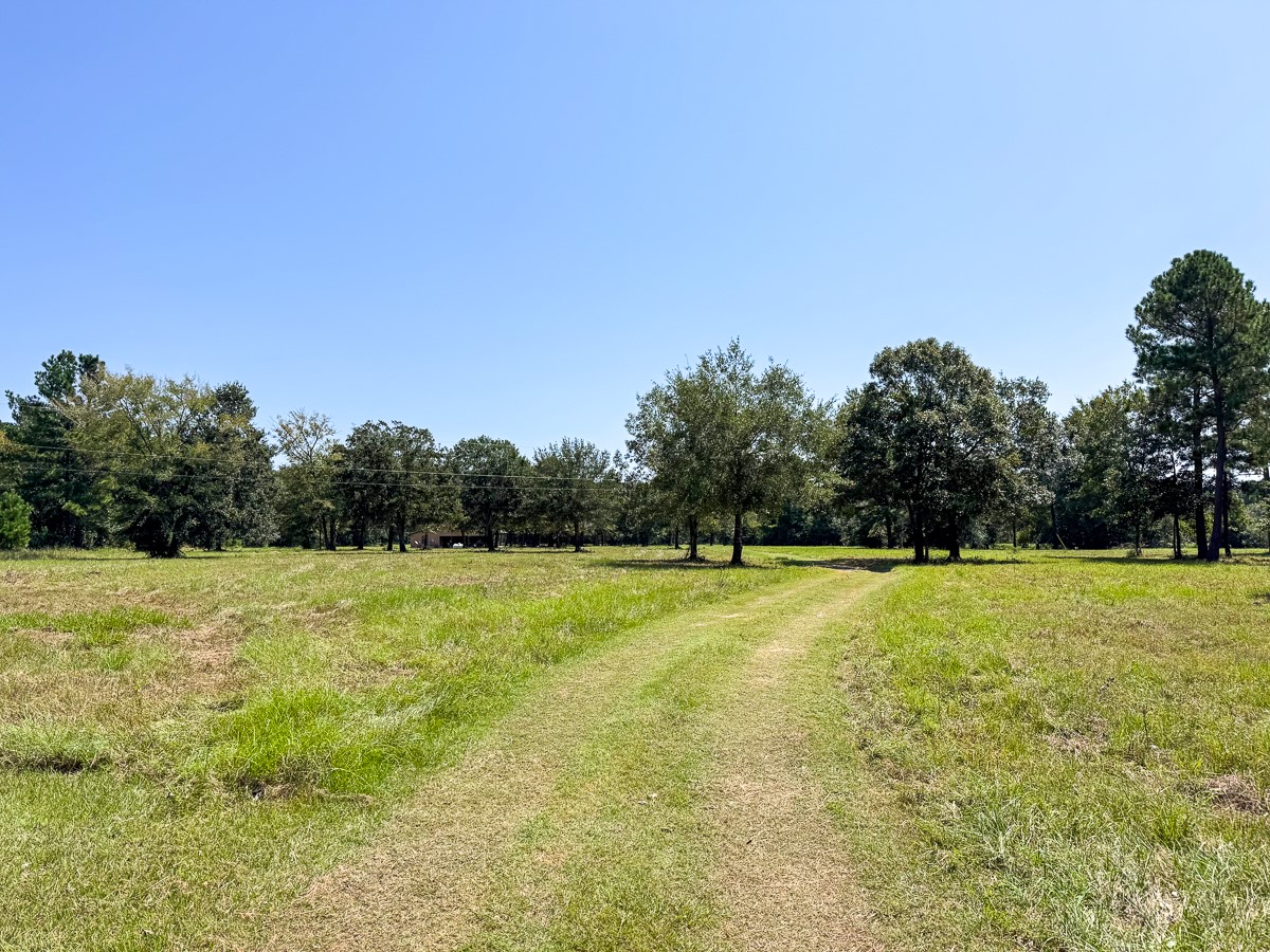 37 Archie Road Huntsville, TX 77320 - Photo 38 of 40 a view of outdoor space and yard