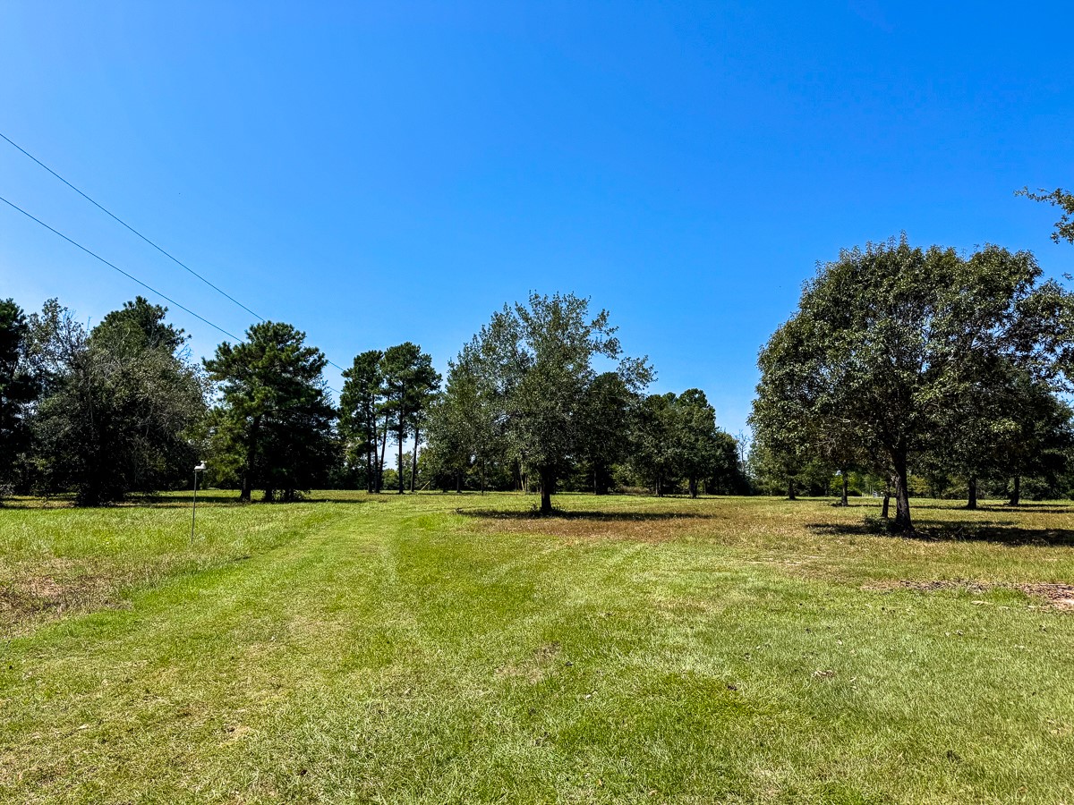 37 Archie Road Huntsville, TX 77320 - Photo 39 of 40 a view of tennis ground with trees in the background