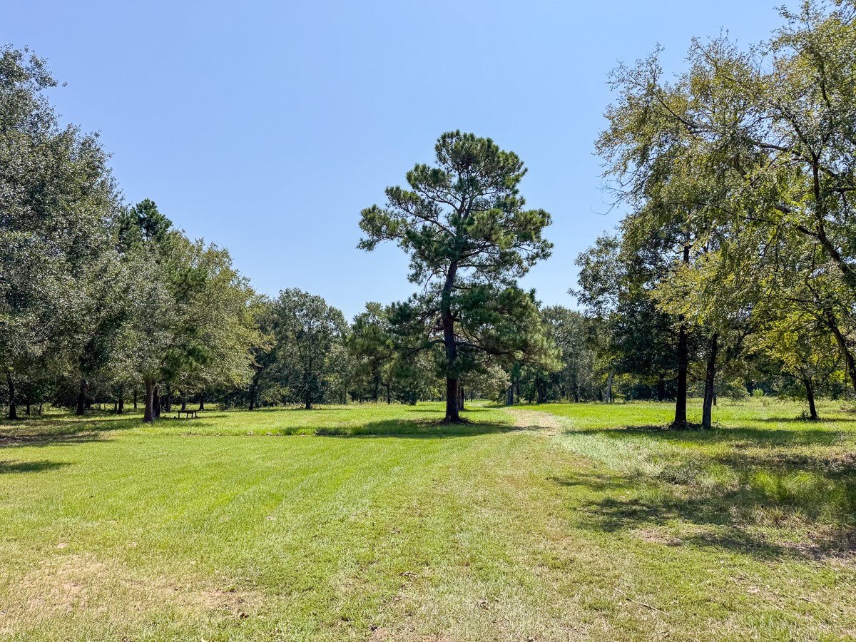 37 Archie Road Huntsville, TX 77320 - Photo 40 of 40 a view of a golf course