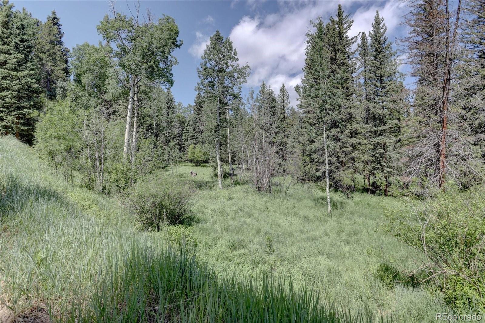 10438 Sunlight Lane Conifer, CO 80433 - Photo 4 of 48