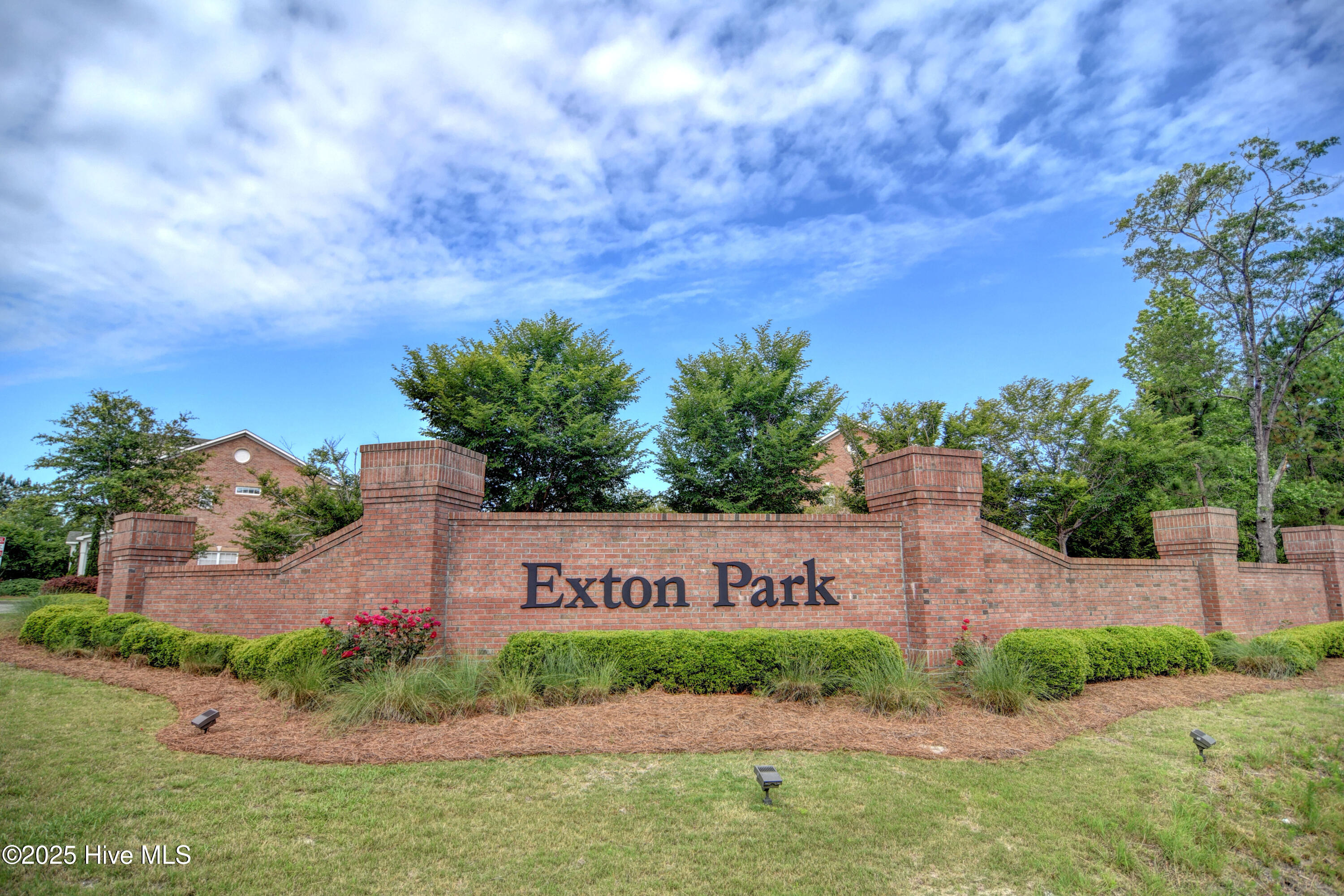4814 Exton Park Loop Castle Hayne, NC 28429 - Photo 2 of 37