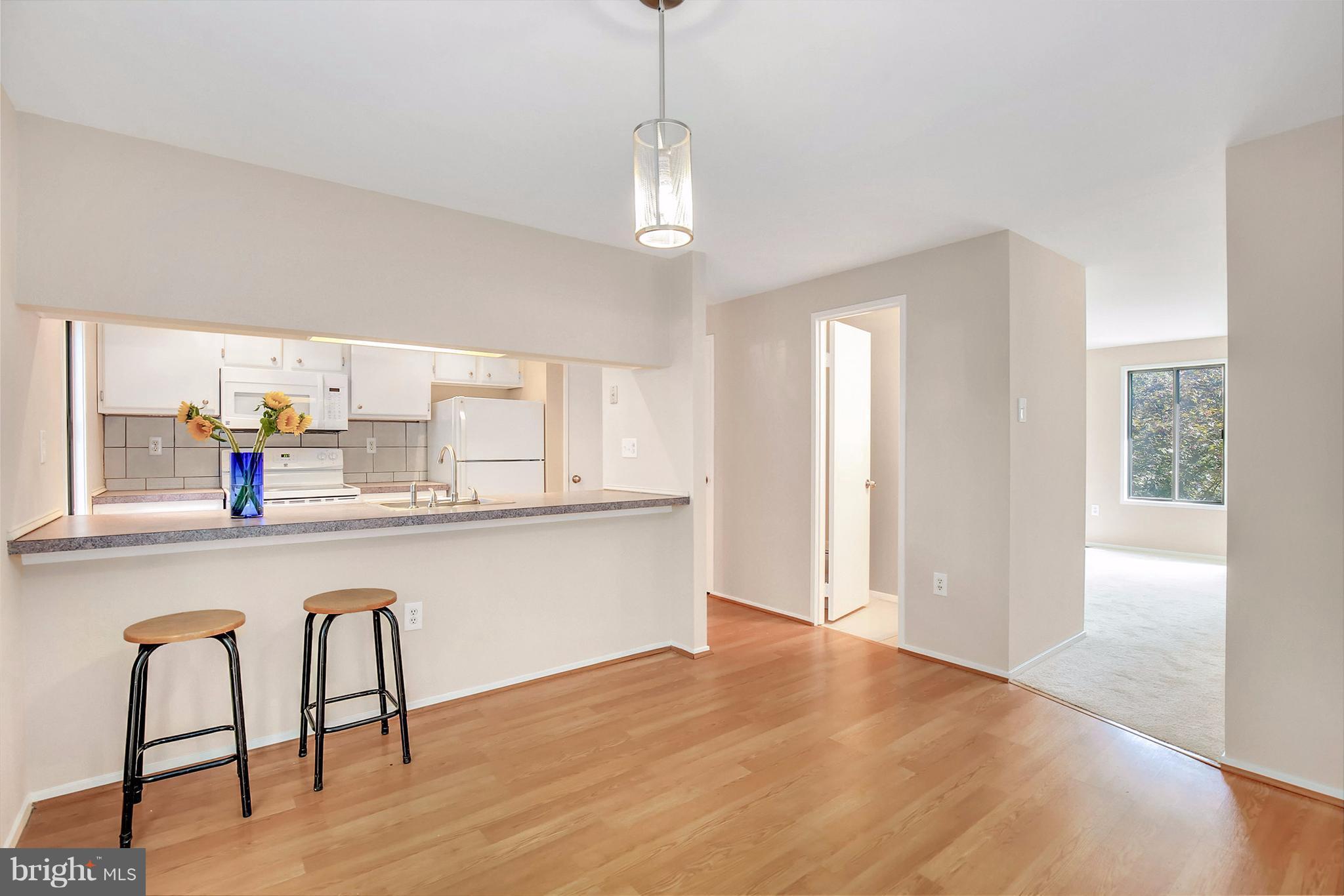 10723 Lester Street Silver Spring, MD 20902 - Photo 13 of 30 Kitchen